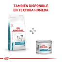 Royal Canin Hypoallergenic Small Dog