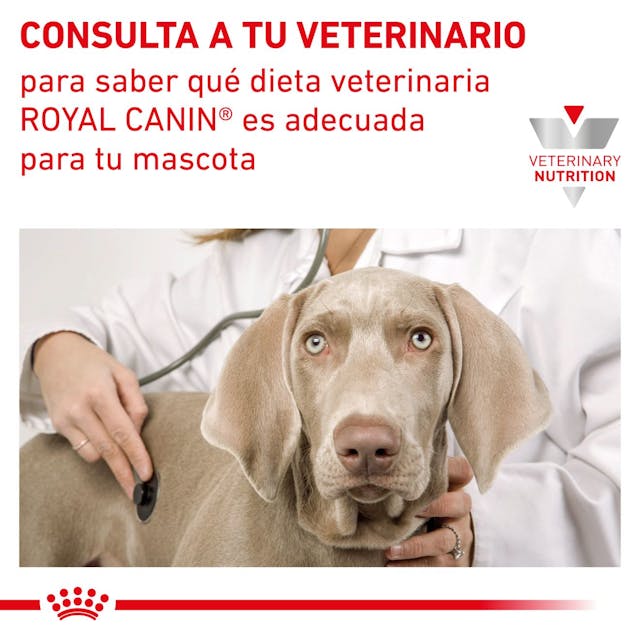 Royal Canin Recovery Feline/Canine Lata 195g