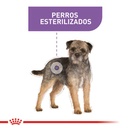 Royal Canin Sterilised Mini Canine 3kg