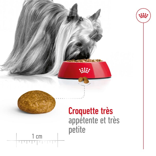 Royal Canin XSmall Adulto 1.5kg