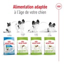 Royal Canin XSmall Adulto 1.5kg