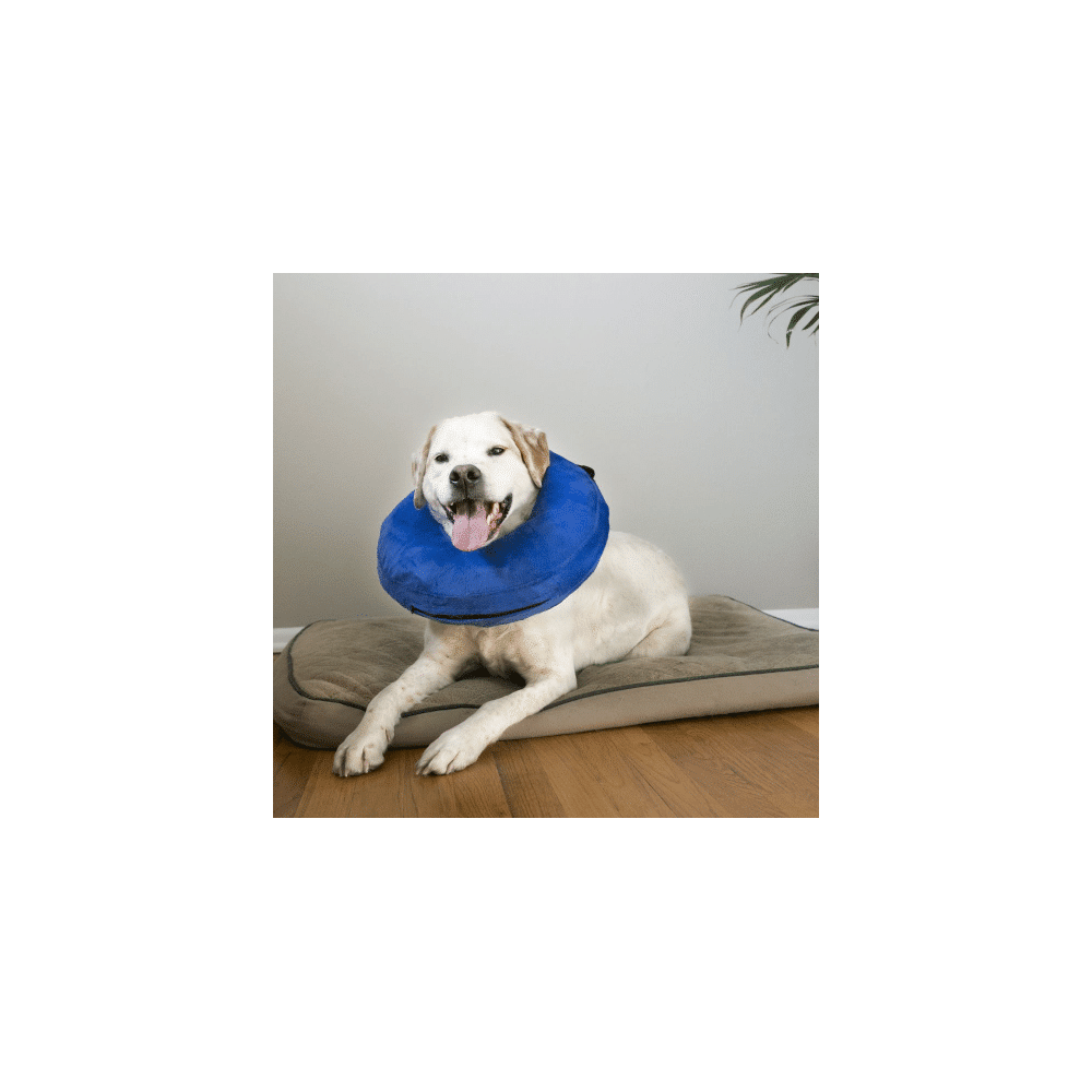 Kong Cloud Collar Small (Collar Isabelino Inflable)