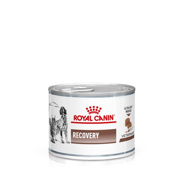 Royal Canin Recovery Feline/Canine Lata 195g